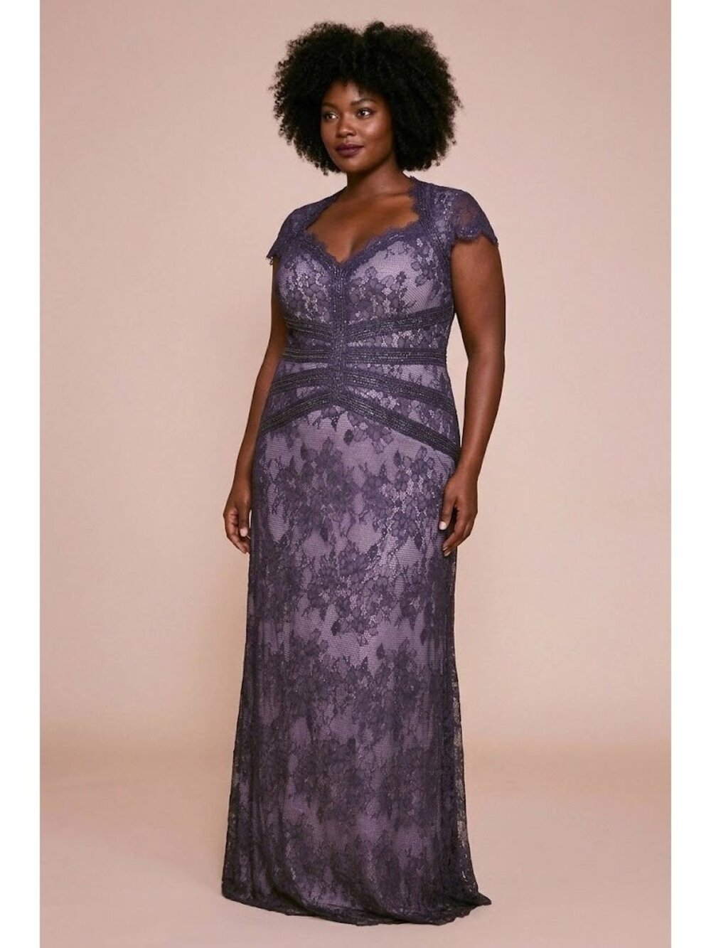 NWT TADASHI SHOJI  Swanson Lace Gown in Notte Nude Blue Maxi Dress 18Q